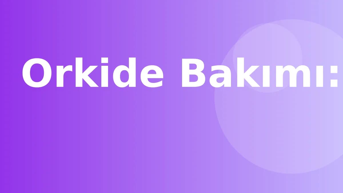 Orkide Bakımı: Başlangıç Rehberi