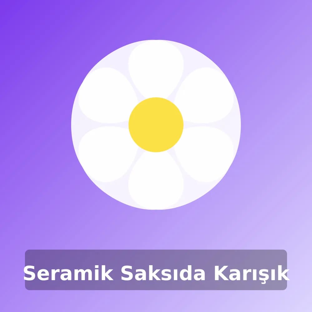 Seramik Saksıda Karışık