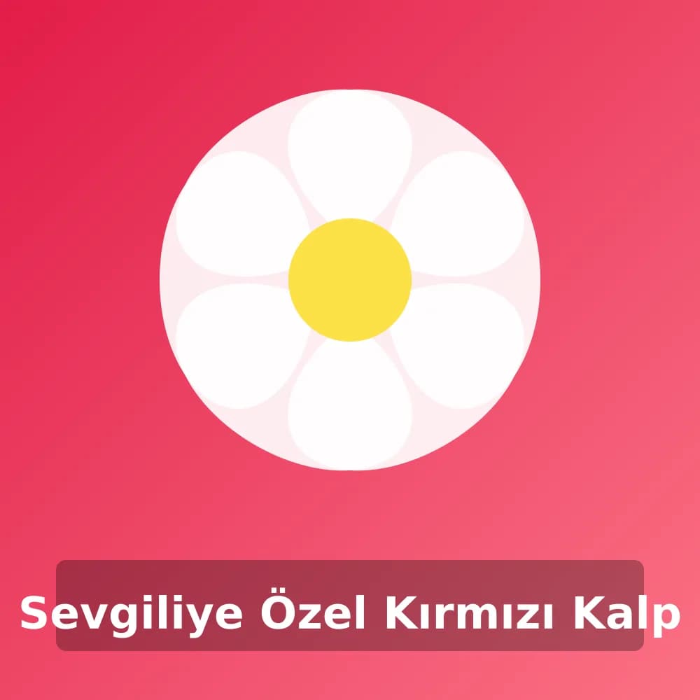 Sevgiliye Özel Kırmızı Kalp